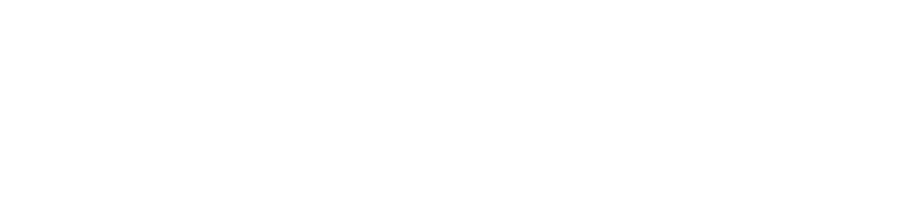 Biała wersja logotypu firmy Nigriv