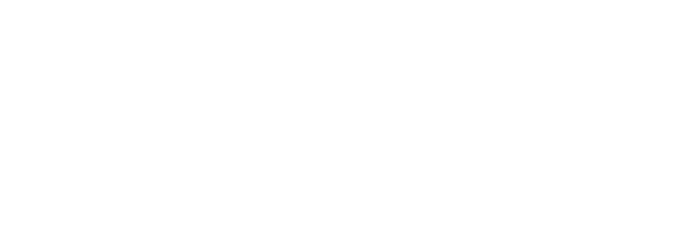 Partner Microsoftu - logo programu partnerskiego